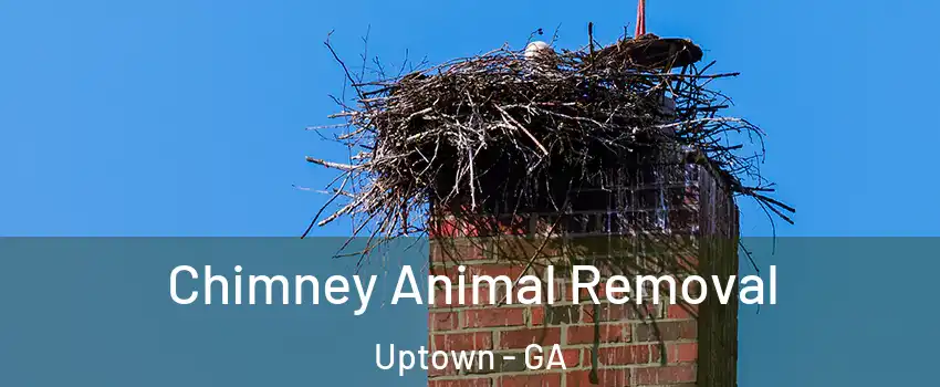 Chimney Animal Removal Uptown - GA