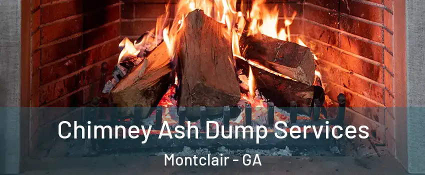 Chimney Ash Dump Services Montclair - GA