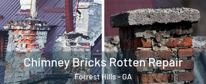 Chimney Bricks Rotten Repair Forrest Hills - GA