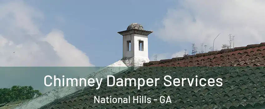 Chimney Damper Services National Hills - GA