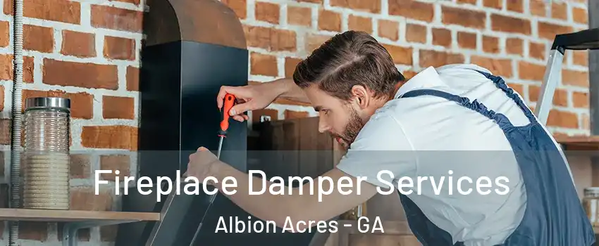 Fireplace Damper Services Albion Acres - GA