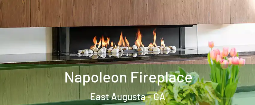 Napoleon Fireplace East Augusta - GA